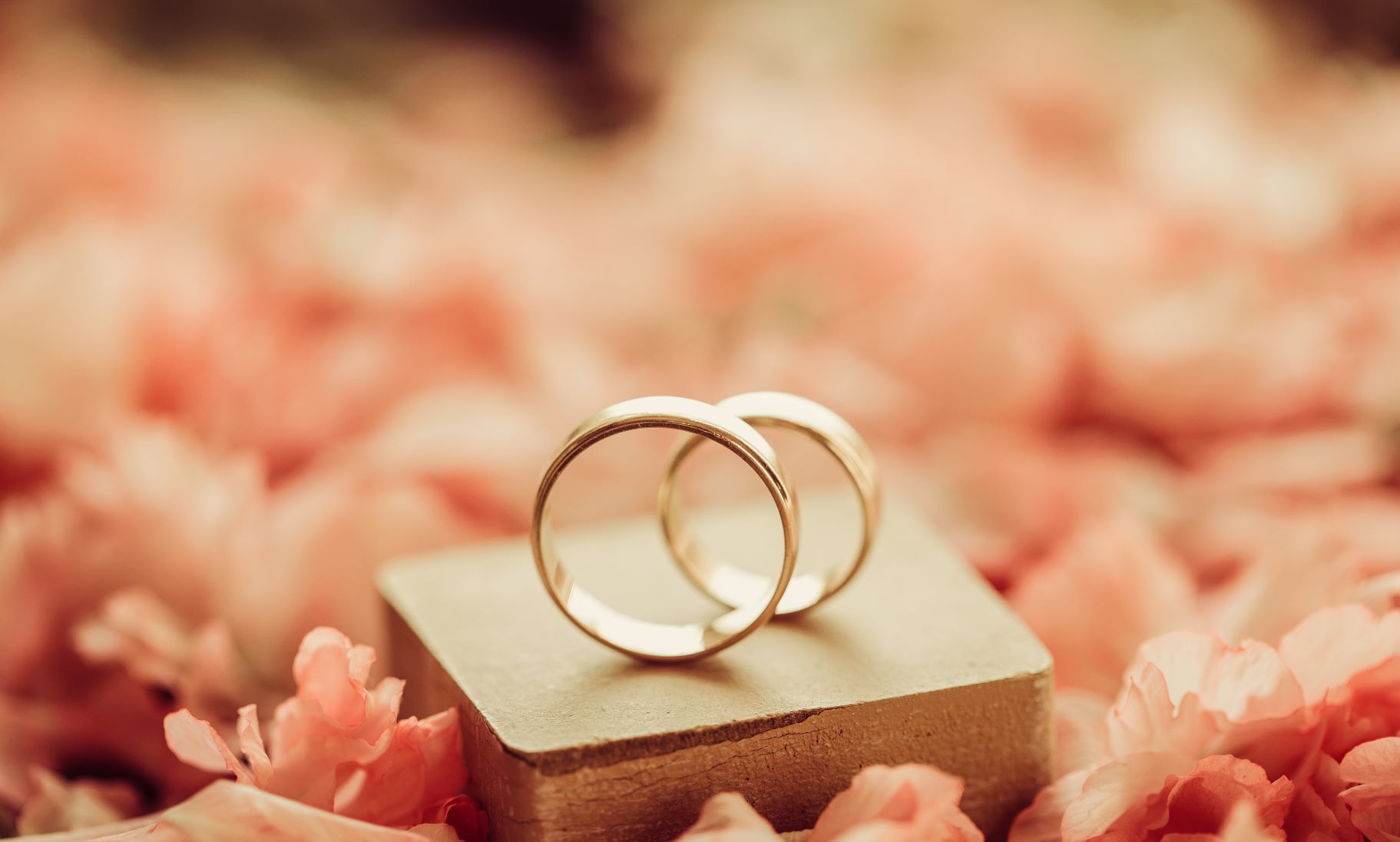 Wedding Ring Metals