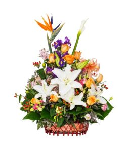 bird of paradise in a bouquet